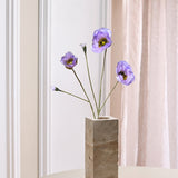 Opium Poppy - Lavender
