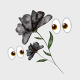 Hemmelig limited stilk