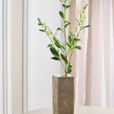 Leaves With Green Berries