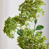 3 Branches Sedum Berry Flowers, Green