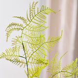 Fern Leaves 02