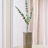 Eukalyptus Blade "Silver Dollar"