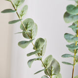 Eukalyptus Blade - Støvet Grøn 