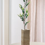 Eucalyptus "Money" Gren