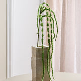 Amaranthus Flower, 6 fork - Green