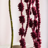 Amaranthus Flower, 6 fork - Bordeaux