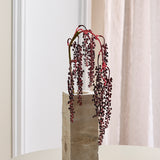 Amaranthus Succulent - Red