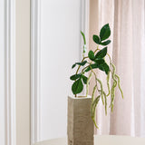 Amaranthus 2 Branches Foliage - White