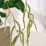 Amaranthus 2 Branches Foliage - White