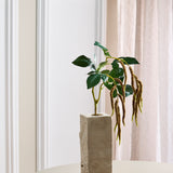 Amaranthus 2 Branches Foliage - Coffee