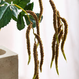 Amaranthus 2 Branches Foliage - Coffee