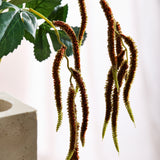 Amaranthus 2 Branches Foliage - Bordeaux