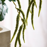 Amaranthus 2 Branches Foliage - Dark Green