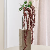 Amaranthus Caudatus Flower - Bordeaux