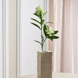 Skimmia Berry Branch - White