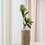 Skimmia Berry Branch, Green