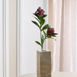 Skimmia Bærgren, Rød/Grøn