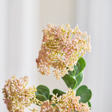3 Branches Sedum Berry Flowers, Light Pink