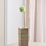 Scabiosa Flower - Green