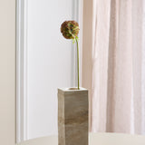 Scabiosa Flower, Brown