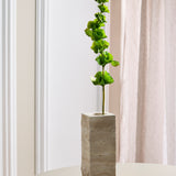 Bells of Ireland Flower