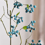 Blueberry Branch