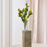 Lemon Branch Fruit Stem