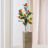 Mandarin Orange Branch