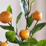 Mandarin Orange Branch