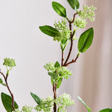 Willow Long Greenery Leave (Imperfects)