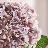 Hydrangea Flower - Purple