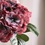 Vintage Large Hydrangea - Dark Bordeaux