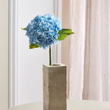 Hydrangea Flower - Blue