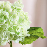 Full Hydrangea Bunch - White