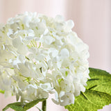 Full Hydrangea Bunch - White