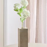 3 Heads Hydrangea Snowball - White