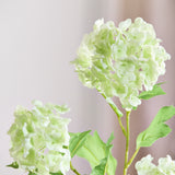 3 Heads Hydrangea Snowball - White Green