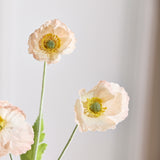 Poppy Flower "Real Touch" - Champagne