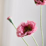 Opium Poppy - Soft Pink