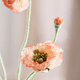 Opium Poppy - Coral