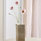 Opium Poppy - Light Pink