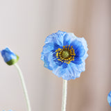 Poppy Flower - Dark Blue