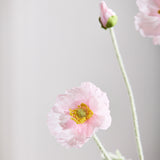 Poppy Flower - Light Pink