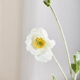 Poppy Flower - White
