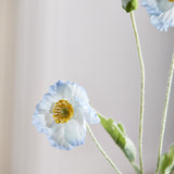 Poppy Flower - Light Blue