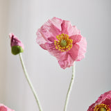 Poppy Flower - Pink