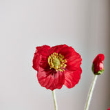 Poppy Flower - Vintage Red