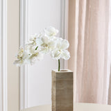 Luxury Butterfly Orchid "Real Touch" - White