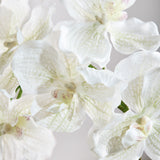 Luxury Butterfly Orchid "Real Touch" - White