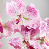 Luxury Butterfly Orchid "Real Touch" - Light Pink